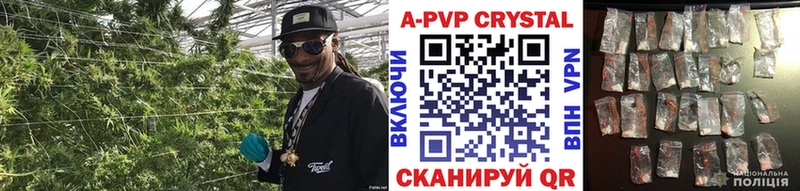 где купить наркоту  Оленегорск  A-PVP СК КРИС 