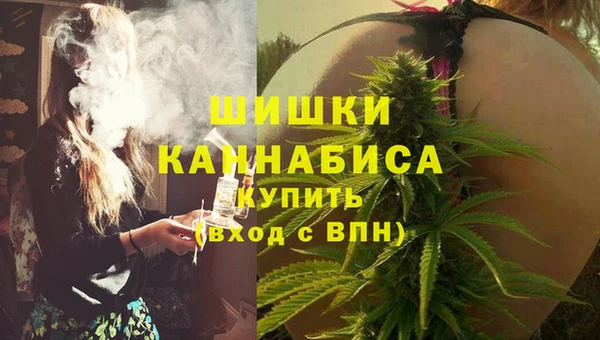 jwh Снежногорск