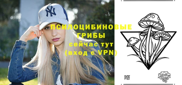 хмурый Армянск