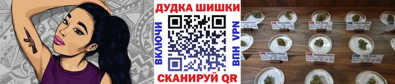 Бошки марихуана сатива  Оленегорск 